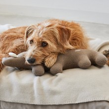 MiaCara Bosco il Cinghiale dog toy - Agof Store