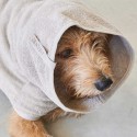 MiaCara Bagno Hundebademantel - Agof Store