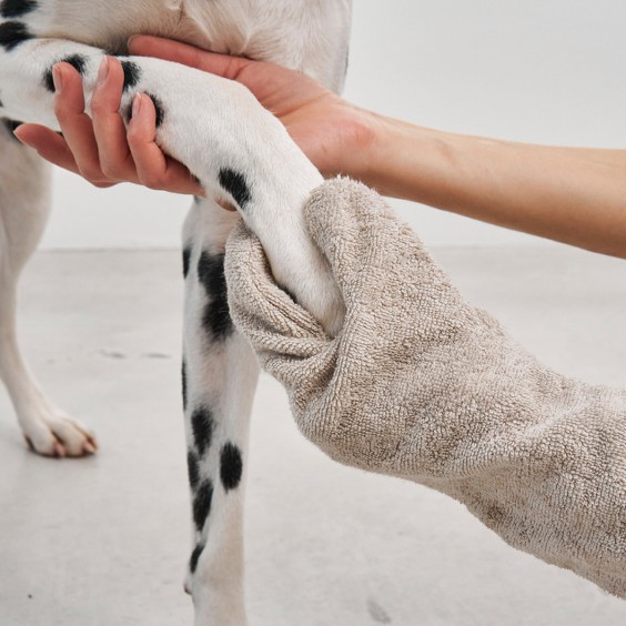 MiaCara Guanto dog drying glove - Agof Store