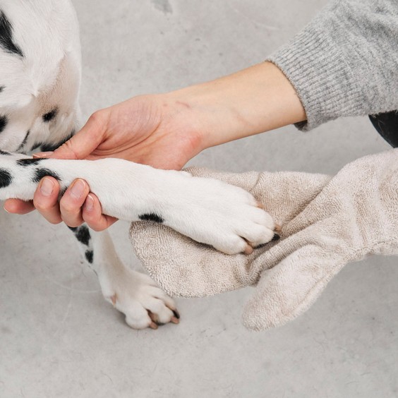 Guanto guanto di asciugatura per cani MiaCara - Agof Store