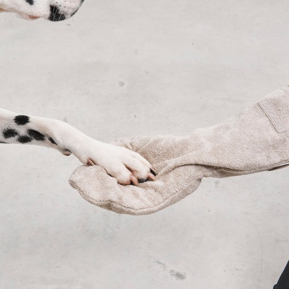 Guanto guanto di asciugatura per cani MiaCara - Agof Store