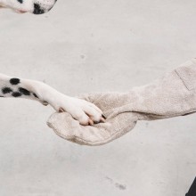 MiaCara Guanto dog drying glove - Agof Store