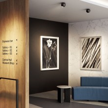 Lodes Spider Deckenleuchte - Agof Store