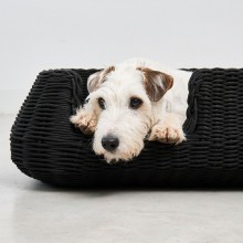 MiaCara Mio Indoor Outdoor dog bed - Agof Store