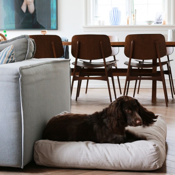 Tobine cuscino per cani Tadazhi - Agof Store