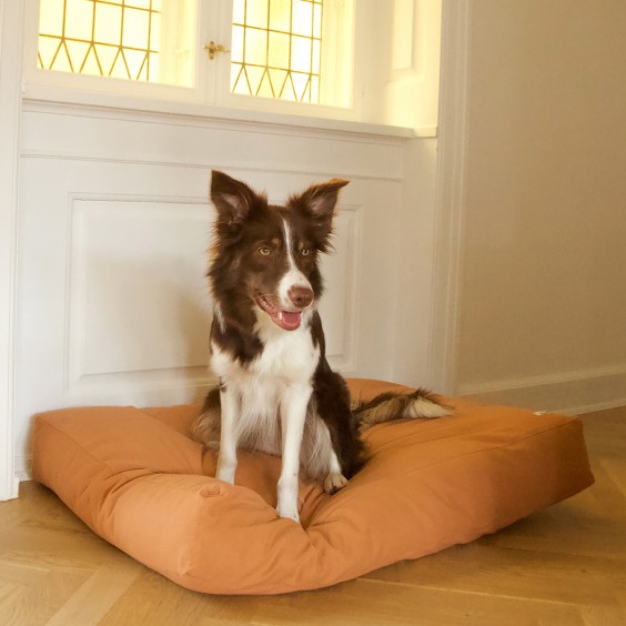 Tobine cuscino per cani Tadazhi - Agof Store