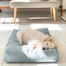 Tobine cuscino per cani Tadazhi - Agof Store