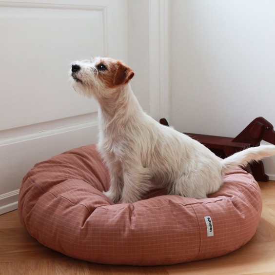 Tadazhi Poespas dog cushion - Agof Store