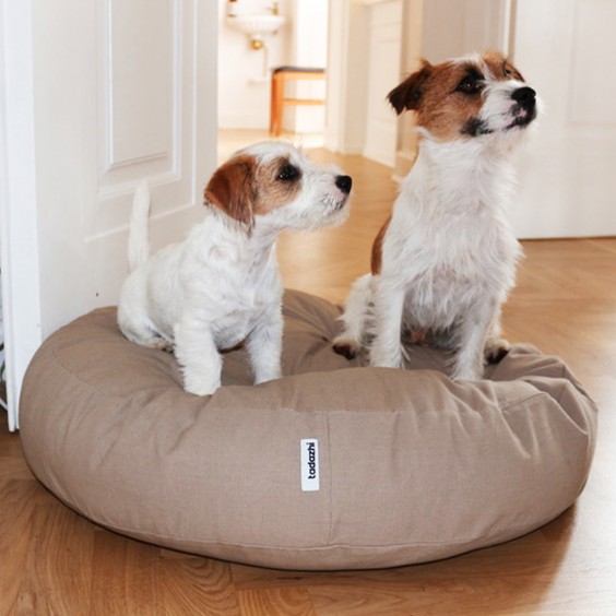 Tadazhi Poespas dog cushion - Agof Store