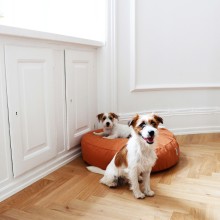 Tadazhi Poespas dog cushion - Agof Store