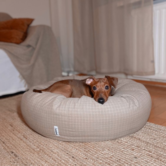 Tadazhi Donut Hundebett - Agof Store