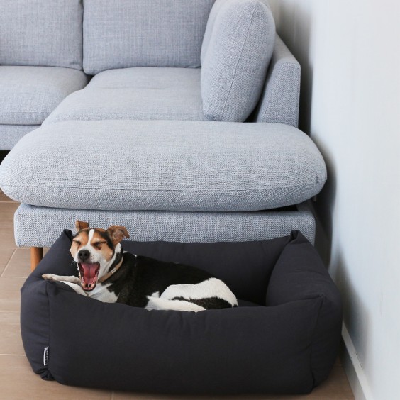 Tadazhi Carla dog bed - Agof Store