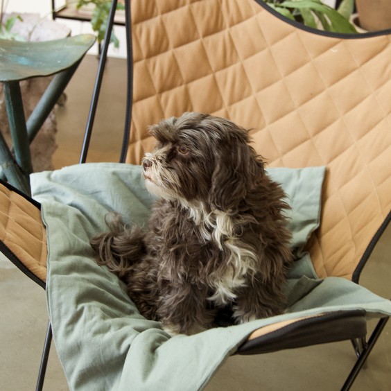 Tadazhi Duvet dog blanket - Agof Store