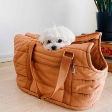 Rio trasportino per cani Tadazhi - Agof Store