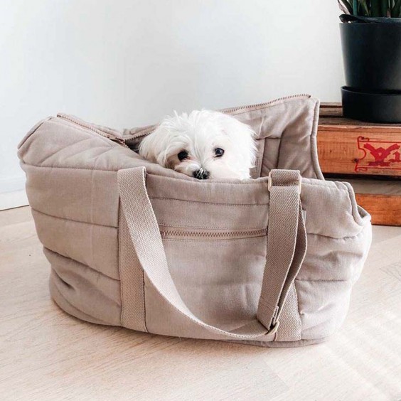 Rio trasportino per cani Tadazhi - Agof Store