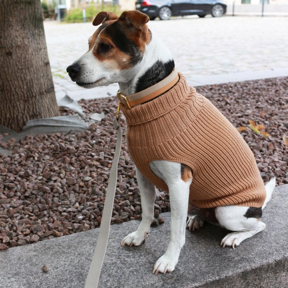 Tadazhi Tadazhi dog sweater - Agof Store