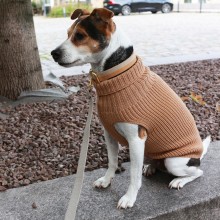 Tadazhi Tadazhi dog sweater - Agof Store Tadazhi Tadazhi dog sweater - Agof Store
