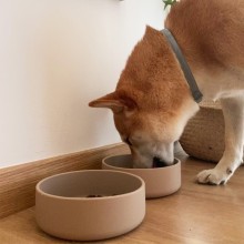 Tadazhi Tadazhi dog bowl - Agof Store