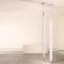 Flos My Lines Pendelleuchte - Agof Store