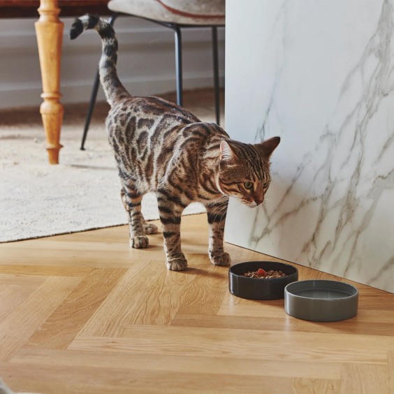 MiaCara Scodella Katzennapf - Agof Store