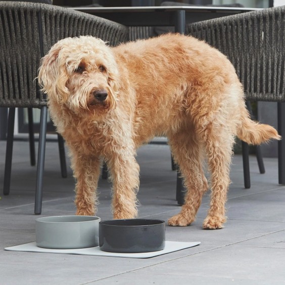 MiaCara Scodella dog bowl - Agof Store