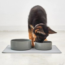 Scodella ciotola per cani MiaCara - Agof Store