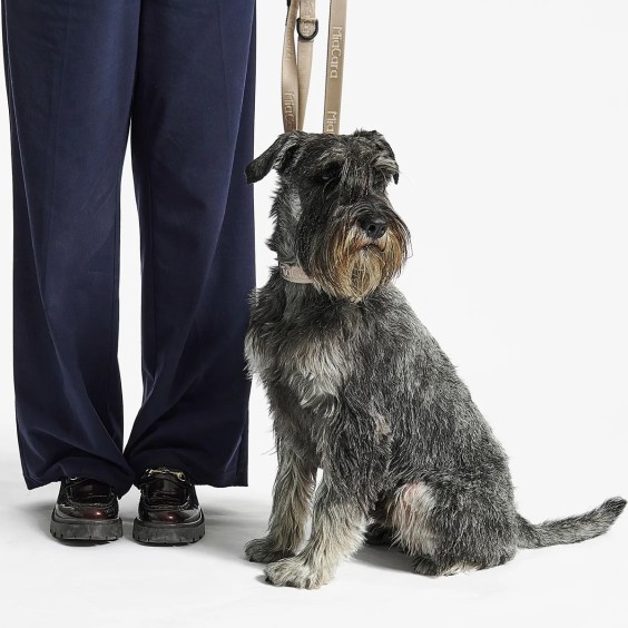 Modena guinzaglio per cani MiaCara - Agof Store