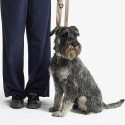 MiaCara Modena dog lead - Agof Store