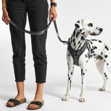 MiaCara Modena dog lead - Agof Store