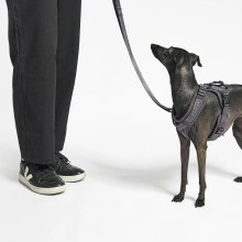 MiaCara Modena dog lead - Agof Store