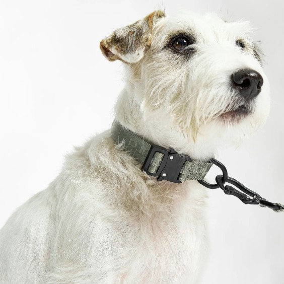 Modena collare per cani MiaCara - Agof Store
