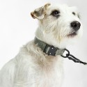 MiaCara Modena dog collar - Agof Store
