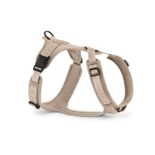 MiaCara Modena dog harness - Agof Store MiaCara Modena dog harness - Agof Store