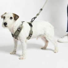 MiaCara Modena dog harness - Agof Store MiaCara Modena dog harness - Agof Store