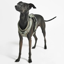 Modena pettorina per cani MiaCara - Agof Store