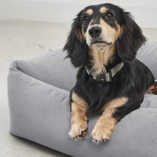 MiaCara Comodo Hundebett - Agof Store