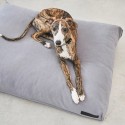Comodo cuscino per cani MiaCara - Agof Store