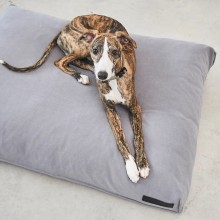 MiaCara Comodo dog cushion - Agof Store