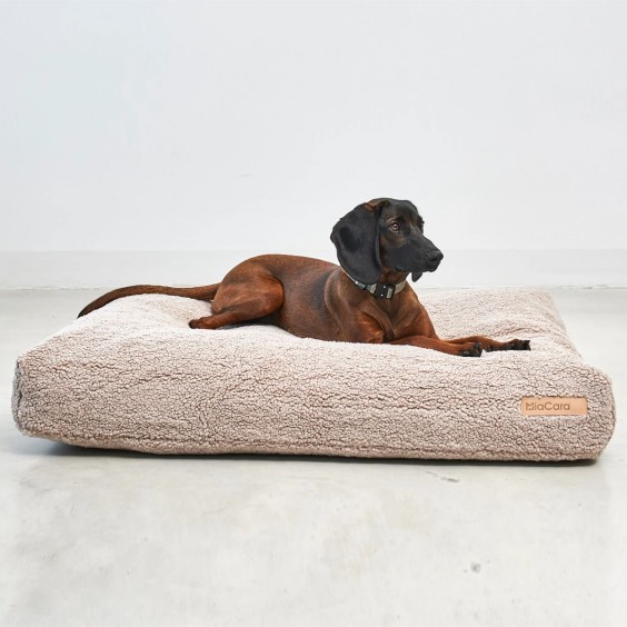 MiaCara Senso Hundekissen - Agof Store
