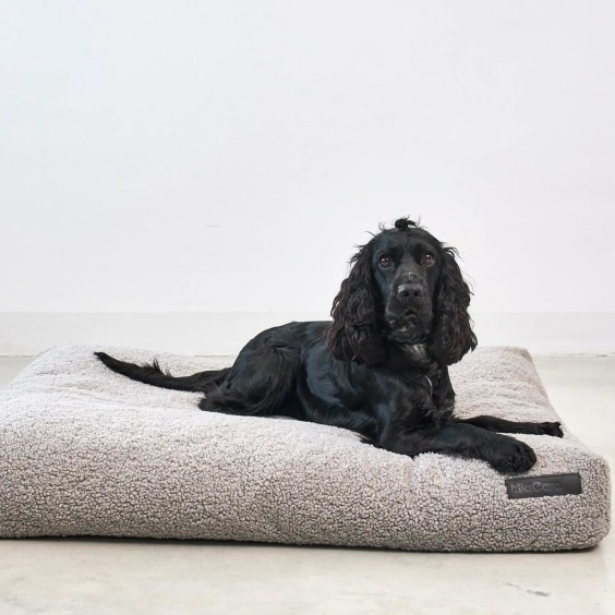 MiaCara Senso Hundekissen - Agof Store