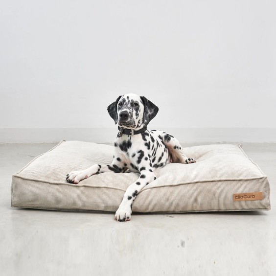 MiaCara Cordo Hundekissen - Agof Store