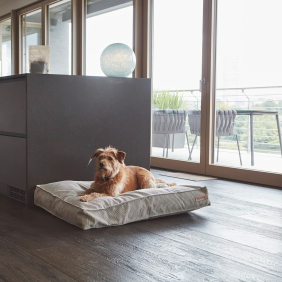 MiaCara Cordo Hundekissen - Agof Store