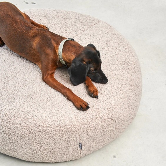 MiaCara Senso dog pouf - Agof Store