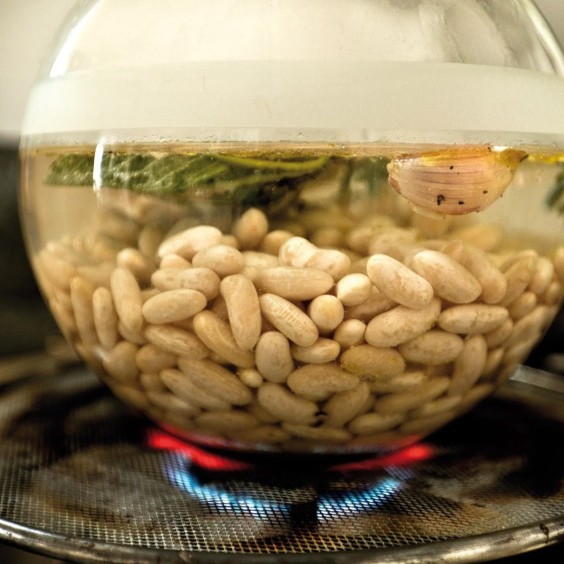 Morandi legumiera Blueside - Agof Store