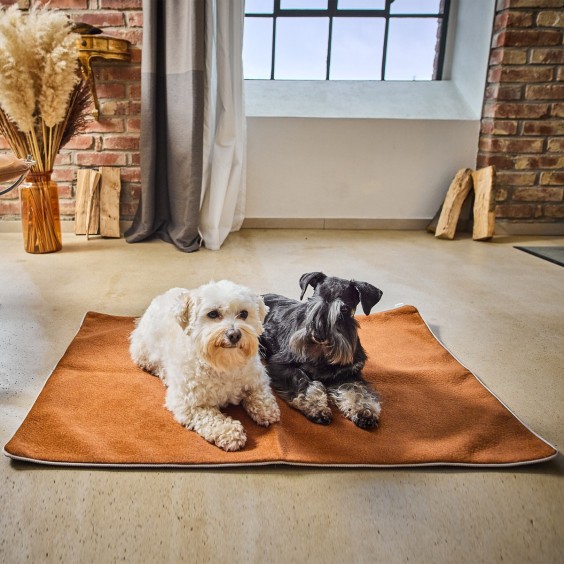 Buffalo coperta per cani Laboni - Agof Store