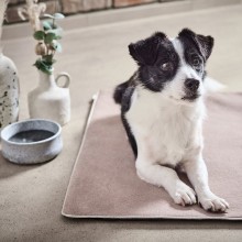 Laboni Buffalo Hundedecke - Agof Store