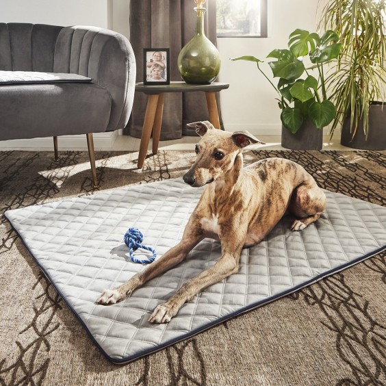 Oxford coperta per cani Laboni - Agof Store