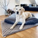 Oxford coperta per cani Laboni - Agof Store