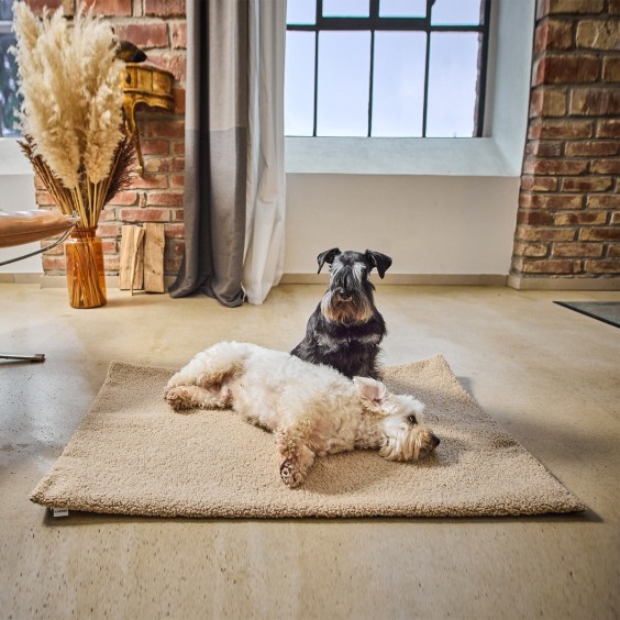 Laboni Teddy Hundedecke - Agof Store