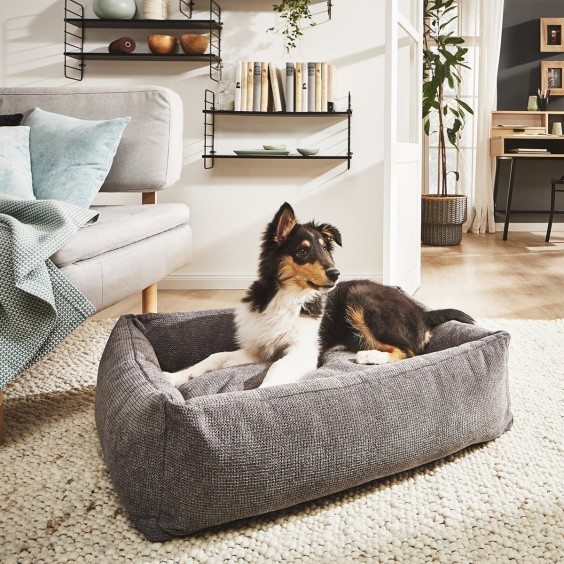 Laboni Tudor Hundebett - Agof Store